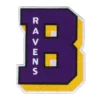 Baltimore Ravens Varsity Letter B Patch 3 Baltimore Ravens Varsity Letter B Embroidered Patch