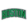 Boston Celtics Arched Wordmark Logo Patch 2 Boston Celtics Arched Wordmark Patch