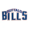 Buffalo Bills Classic Wordmark Logo Embroidered Patch