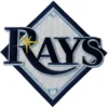 Tampa Bay Rays Logo Embroidered Patch