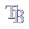 Tampa Bay Rays TB Team Logo Patch
