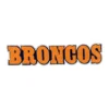 Denver Broncos Orange 3D Wordmark Logo Patch 2 Denver Broncos Orange Team Wordmark Embroidered Patch