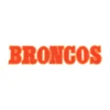 Denver Broncos Orange 3D Script Text Embroidered Patch