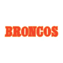 Denver Broncos Orange 3D Script Text Embroidered Patch