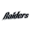 Las Vegas Raiders Script Lettering Patch