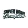 Philadelphia Eagles Super Bowl Champions Embroidered Patch 