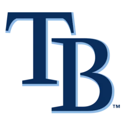 Tampa Bay Rays Patches