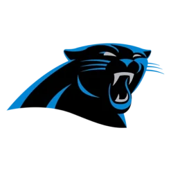 Carolina Panthers Patches