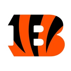 Cincinnati Bengals Patches