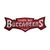 Tampa Bay Buccaneers Banner Logo Patch